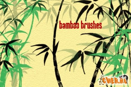 Bamboo Brushes