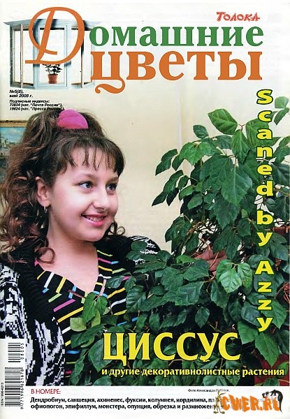 Домашние цветы №5 (8) 2008