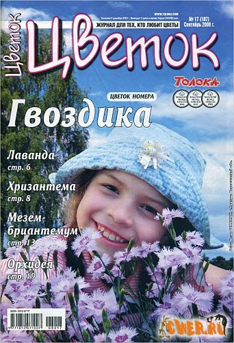 Цветок №17 2008