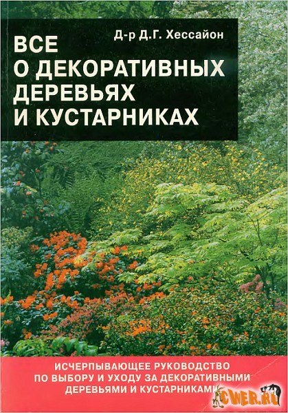 Все о декоративных деревьях и кустарниках