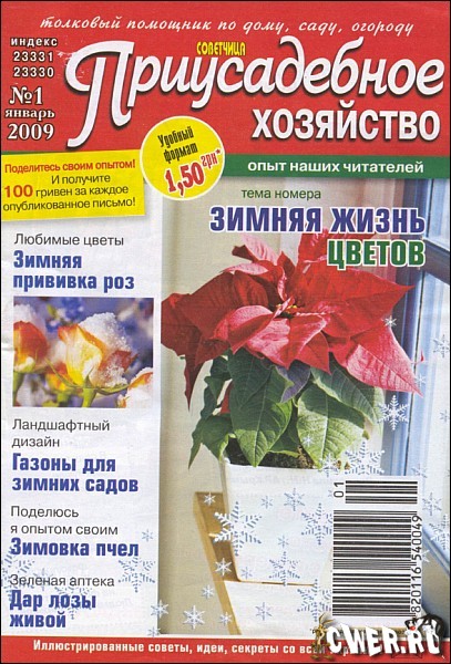 Приусадебное хозяйство №1 (январь) 2009