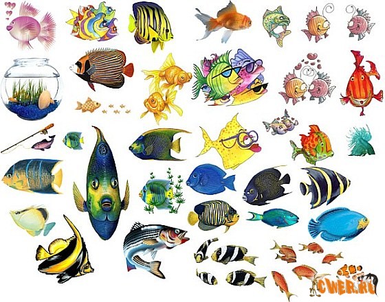 Fish Clipart