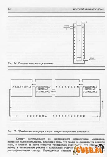 Морской аквариум дома