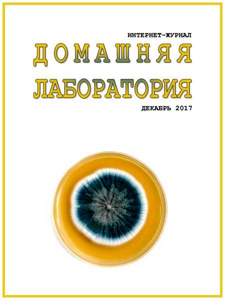 Домашняя лаборатория №12 декабрь 2017