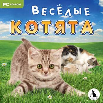 Весёлые котята