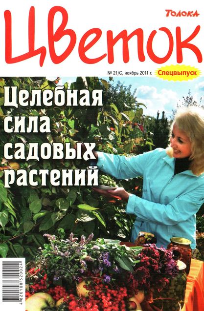 Цветок №21/С (ноябрь 2011). Целебная сила садовых растений