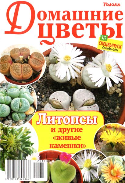 Домашние цветы №9/С (сентябрь 2012). Литопсы и другие «живые камешки»