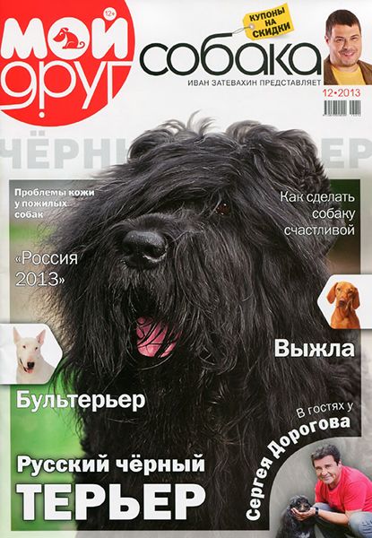 Мой друг собака №12 2013