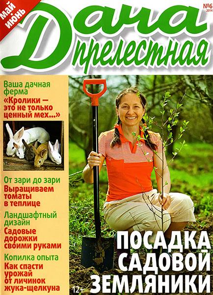 Прелестная дача №6 2014