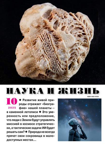 Наука и жизнь №10 октябрь 2025