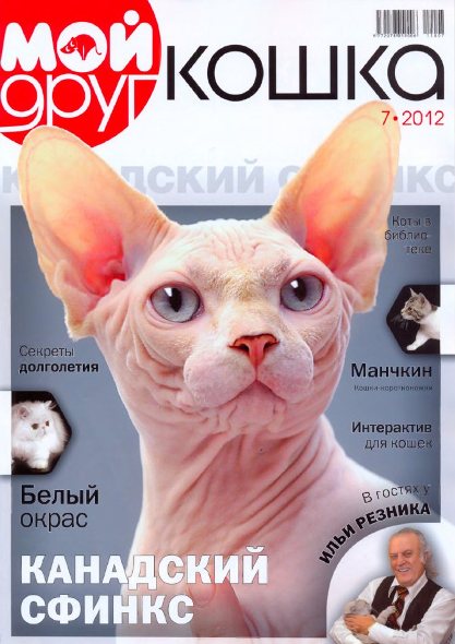 Мой друг кошка №7