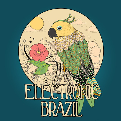 Electronic Brazil Vol.1: Brazilian Flavoured Lounge Tunes