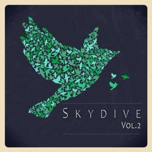 Skydive Vol 02