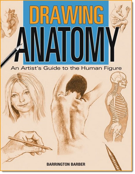 DrawingAnatomy