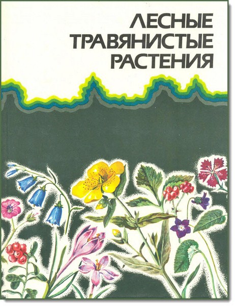 Лесные травянистые растения