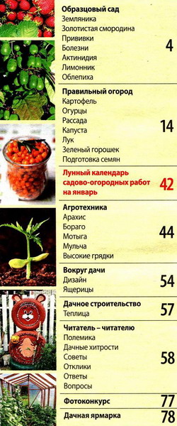 Моя прекрасная дача №12 (декабрь 2012)