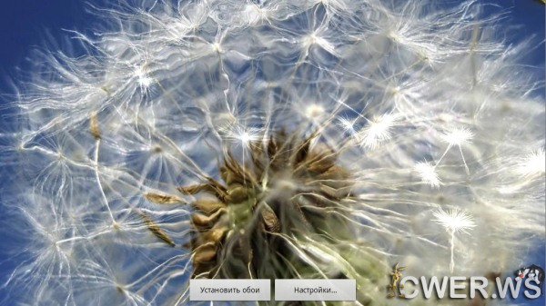 Galaxy Dandelion 3.0 LWP