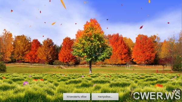 Autumn Trees Live Wallpaper