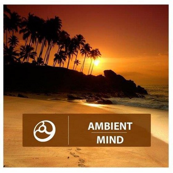 Ambient Mind (2014)