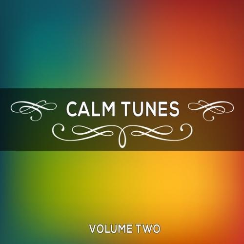 Calm Tunes, Vol. 02 (2014)