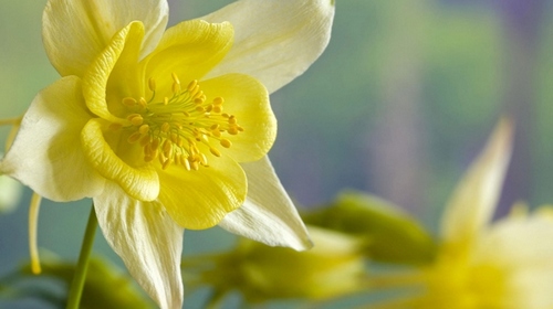 Computer Desktop Wallpapers Collection. www.cwer.ws