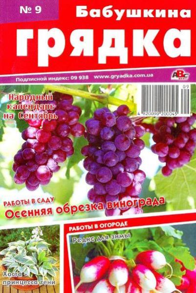 Бабушкина грядка №9 2012