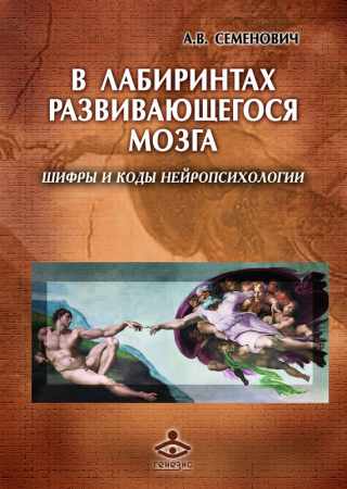 В лабиринтах развивающегося мозга
