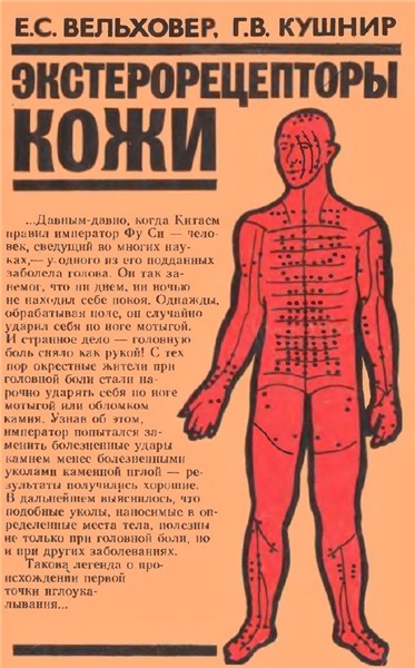 Экстерорецепторы кожи