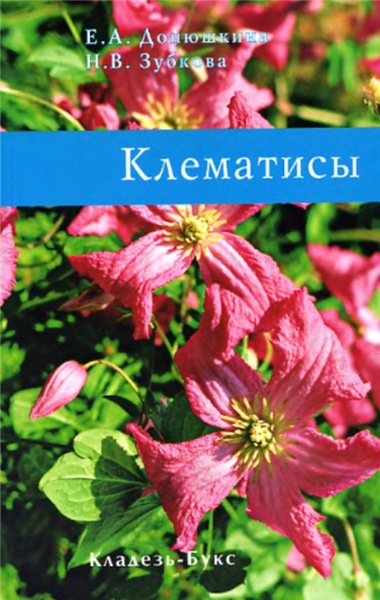 Е.А.Донюшкина. Клематисы