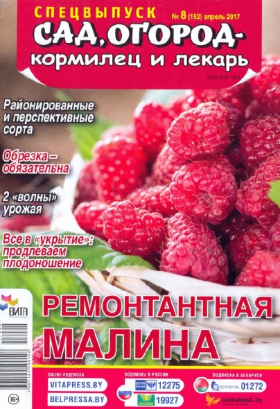 Сад, огород – кормилец и лекарь. Спецвыпуск №8 (апрель 2017). Ремонтантная малина