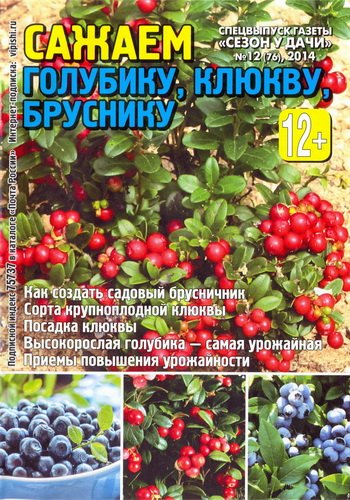 Сезон у дачи. Спецвыпуск №12 (сентябрь 2014). Сажаем голубику, клюкву, бруснику