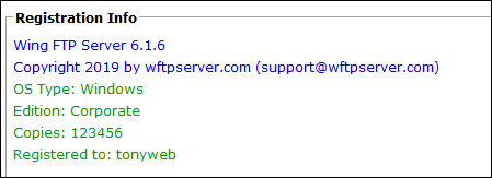 Wing FTP Server Corporate 6.1.6