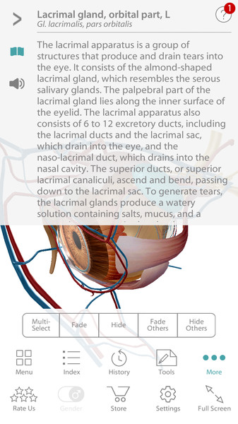 Human Anatomy Atlas6