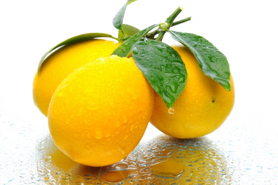 Stock Photo - Orange, Lemon & Lime with mint