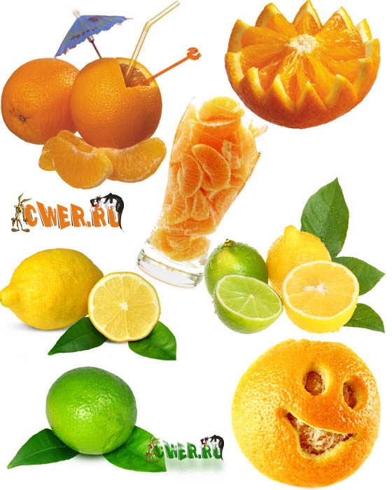 Stock Photo - Orange, Lemon & Lime with mint