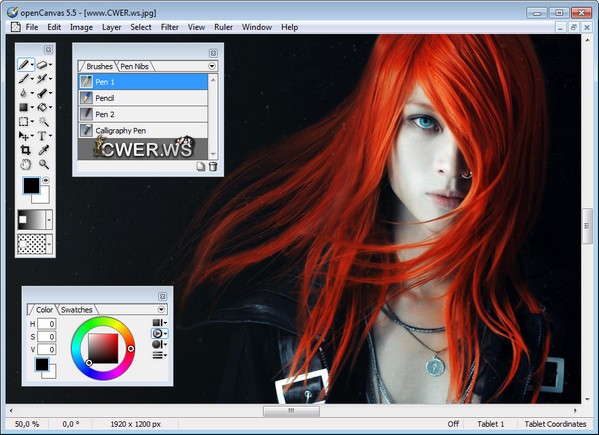 openCanvas 5.5