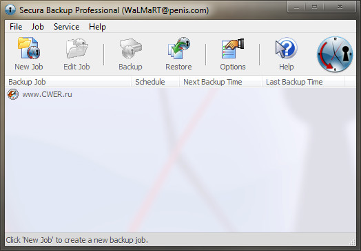 Perception Secura Backup Professional 3