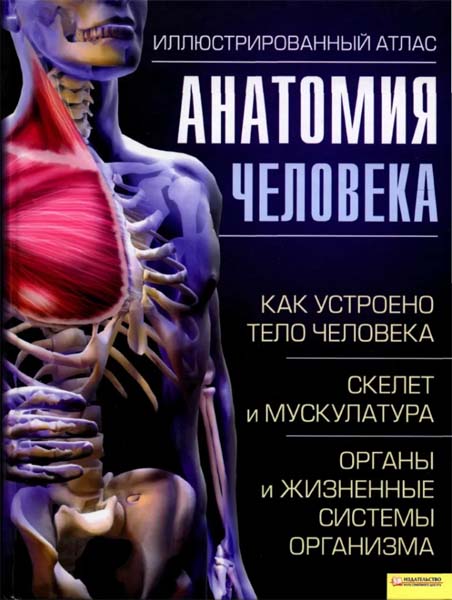 Адольфо Кассан. Анатомия человека. Иллюстрированный атлас