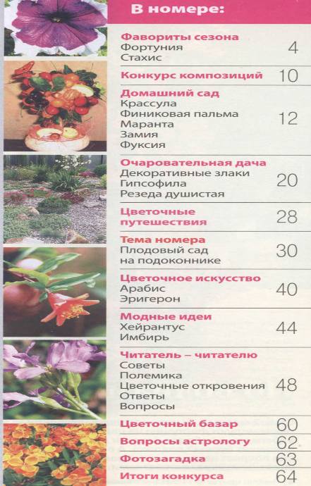 Люблю цветы №11 2011