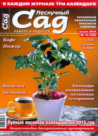 Нескучный сад №12 (декабрь 2014)